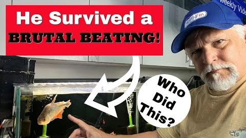 Ben Ochart featured video