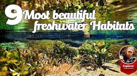 Chris Lukhaup featured video