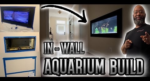 CichPsyche featured video