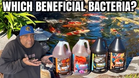 Ha Y N Fish Keeper featured video