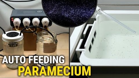 Lowell's Fish Lab featured video