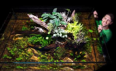 SerpaDesign featured video